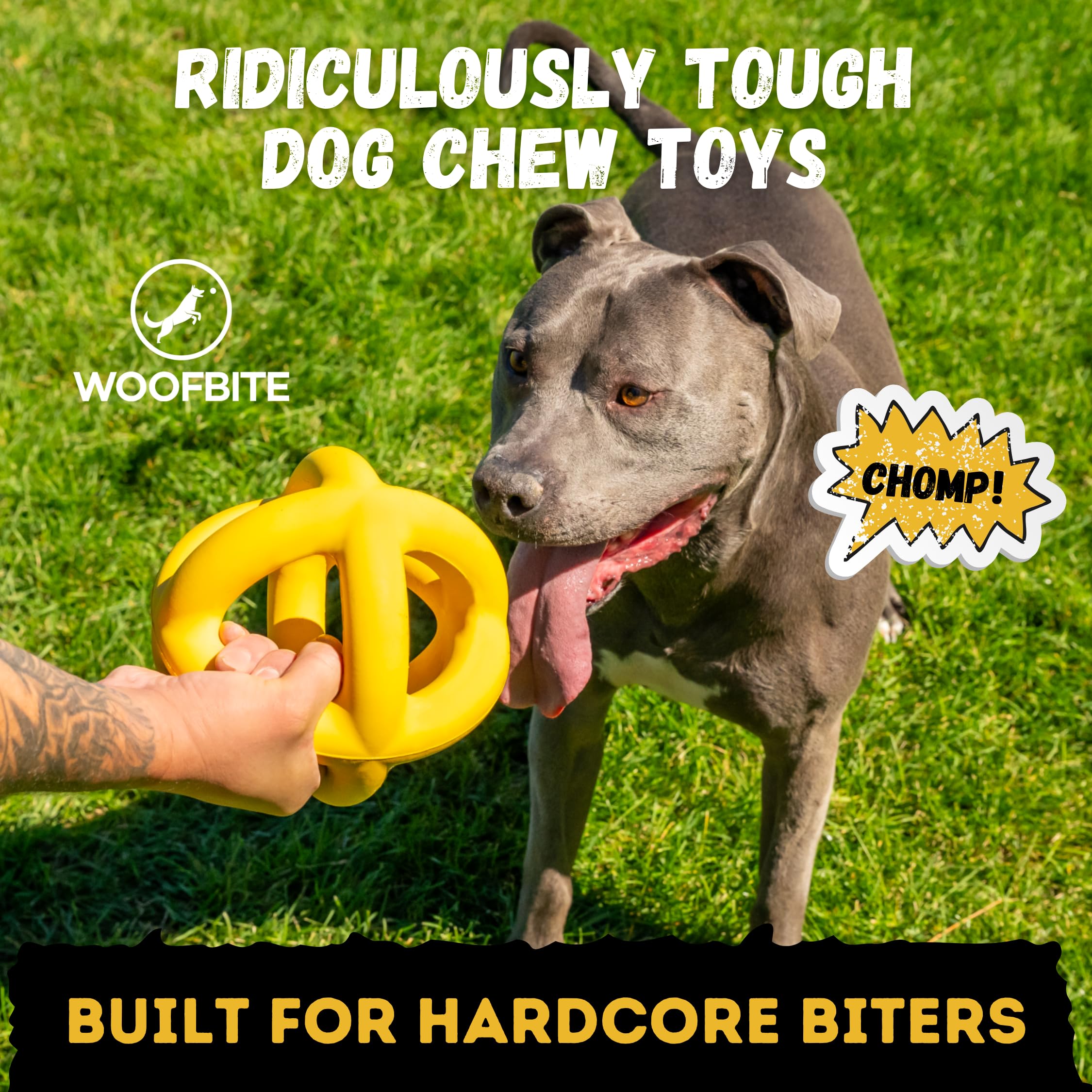 WoofBite balle utilisée pour ramener le chien lors d’exercices en extérieur.