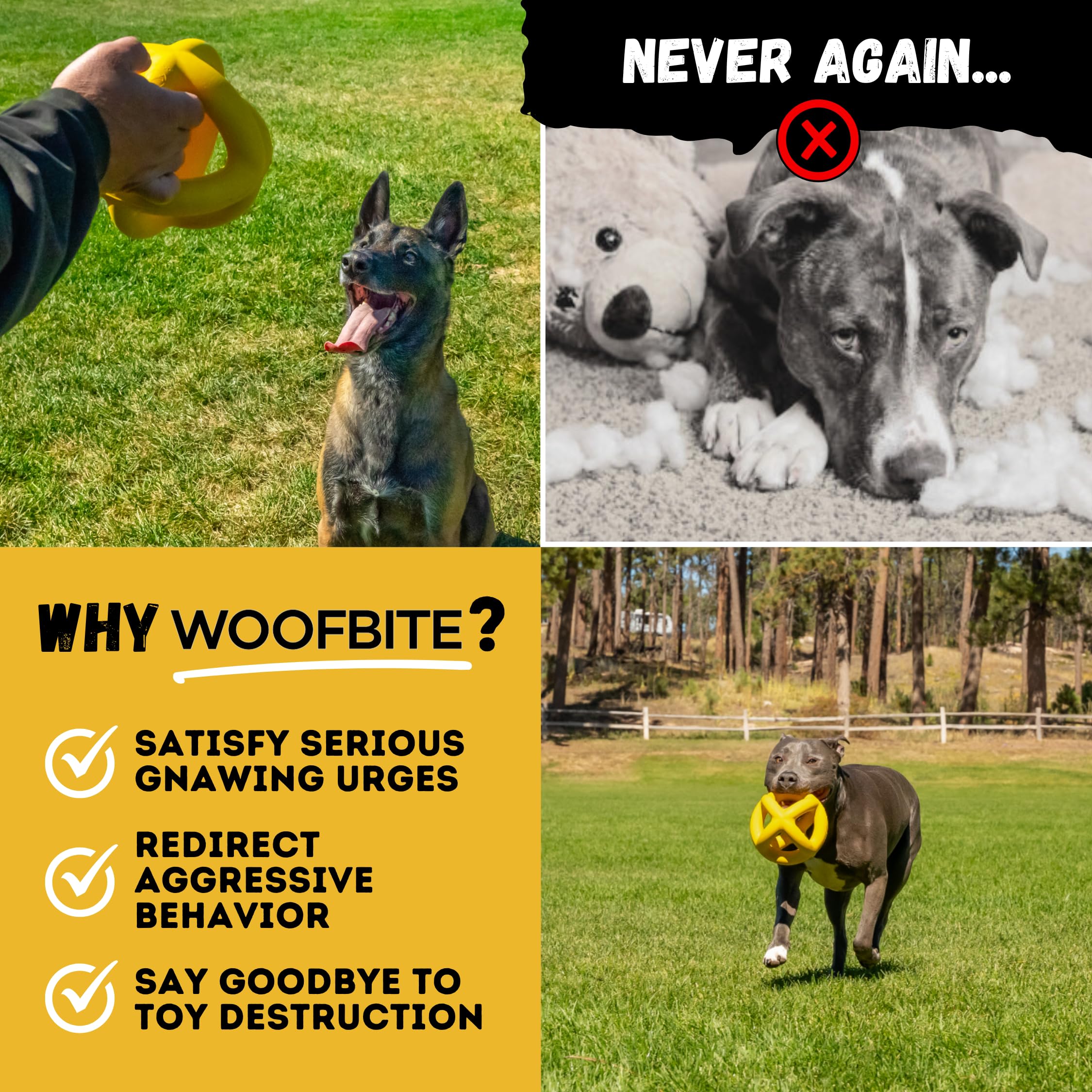 Jaune vif WoofBite en action, visibilité accrue lors du jeu.