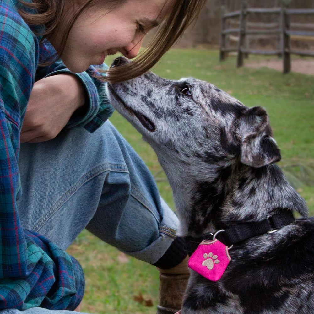 Woofhoof Idéal: convient aux chiens actifs et réduit le bruit.