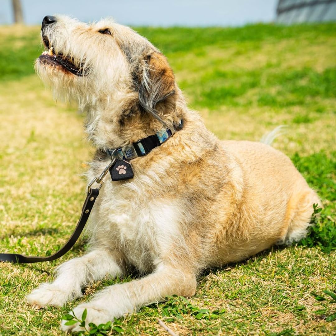 Woofhoof Protection: protège les médailles contre l’usure et rayures.