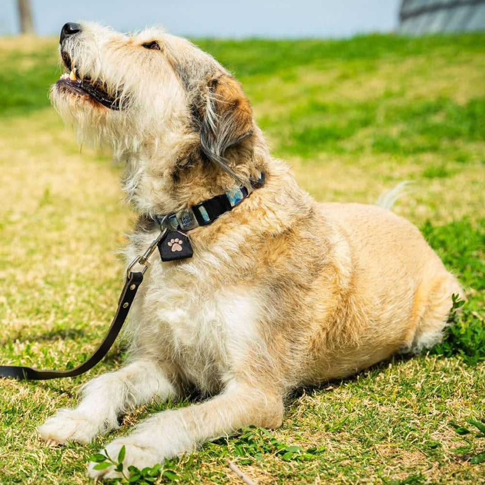 Woofhoof Protection: protège les médailles contre l’usure et rayures.