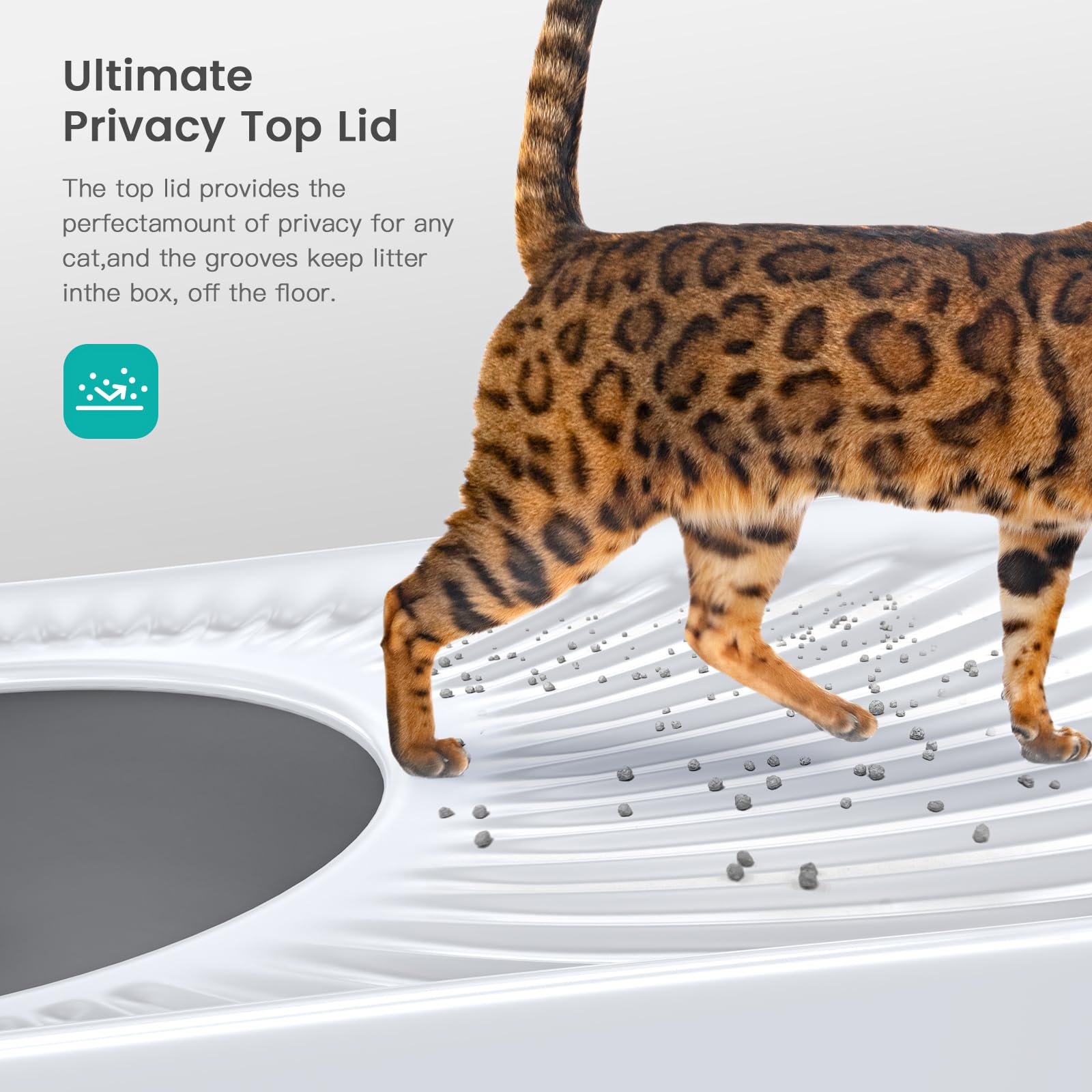 WoofiGo litière acier inox hautes parois pour grands chats et foyers multi-chats.
