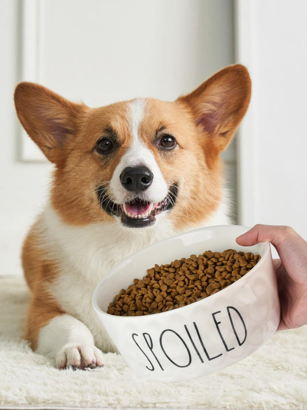 Bol WoofinPets en céramique, poids lourd, stabilité accrue pendant les repas.