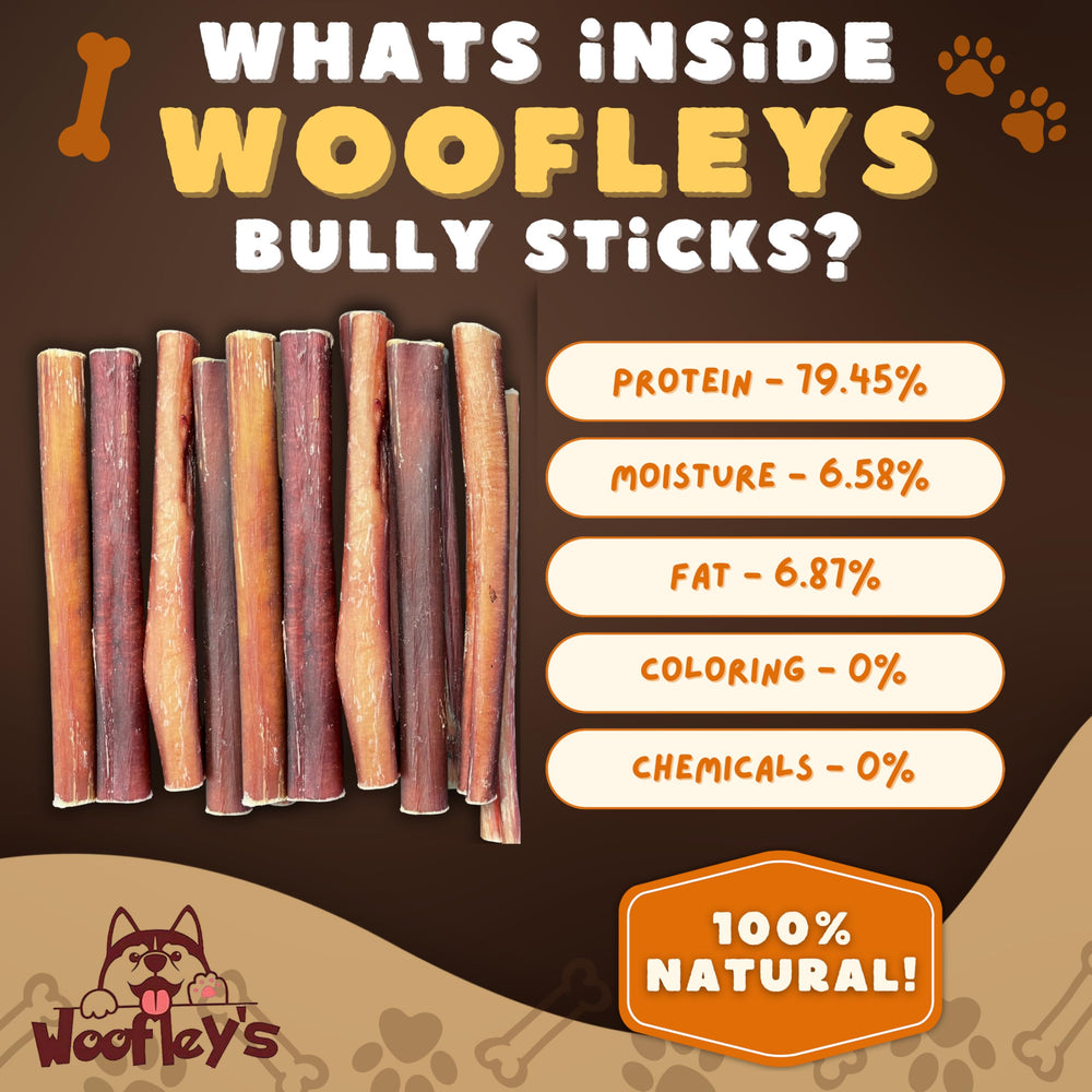 Woofley's Bully Sticks chien en morde, plaisir sain lors des jeux.