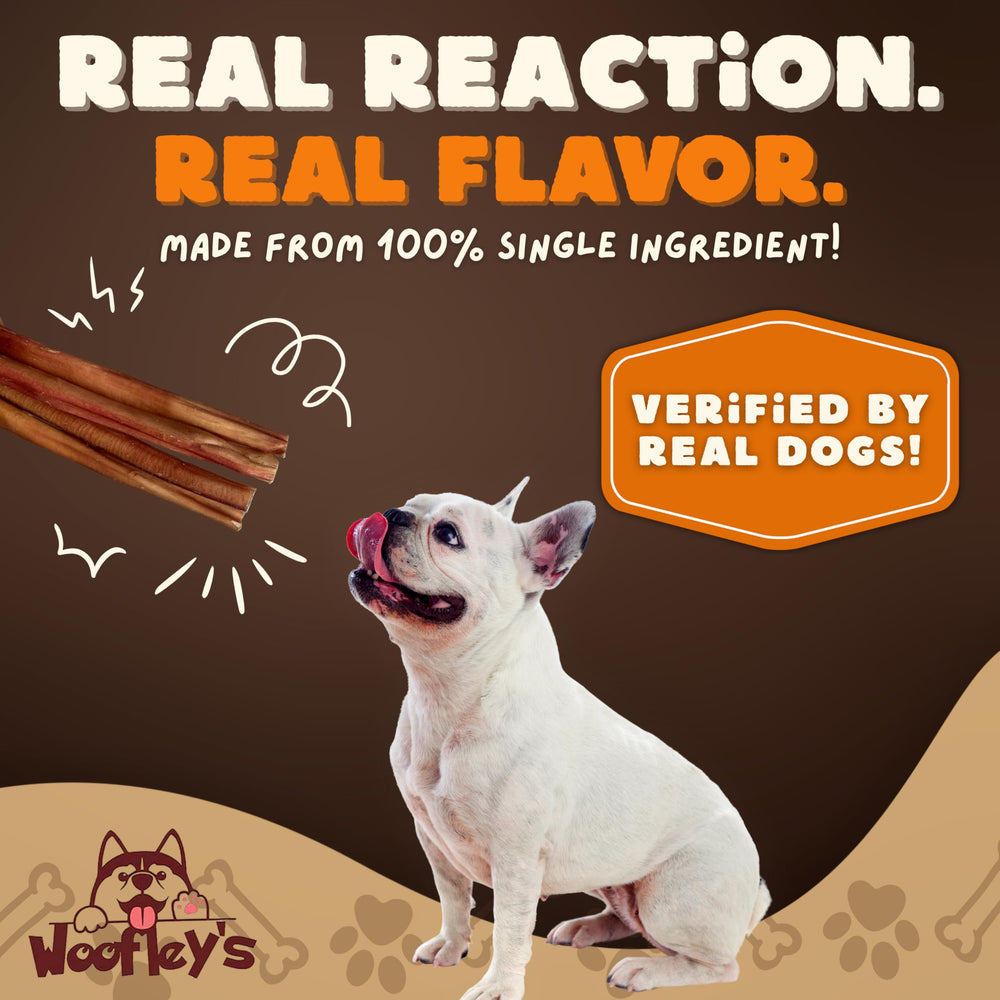 Soutien à la dentition et gencives Woofley's pendant la mastication.