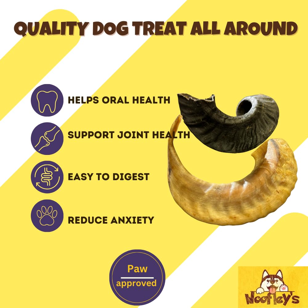Woofley's Lamb Horn en action, mâche durable et engageante.