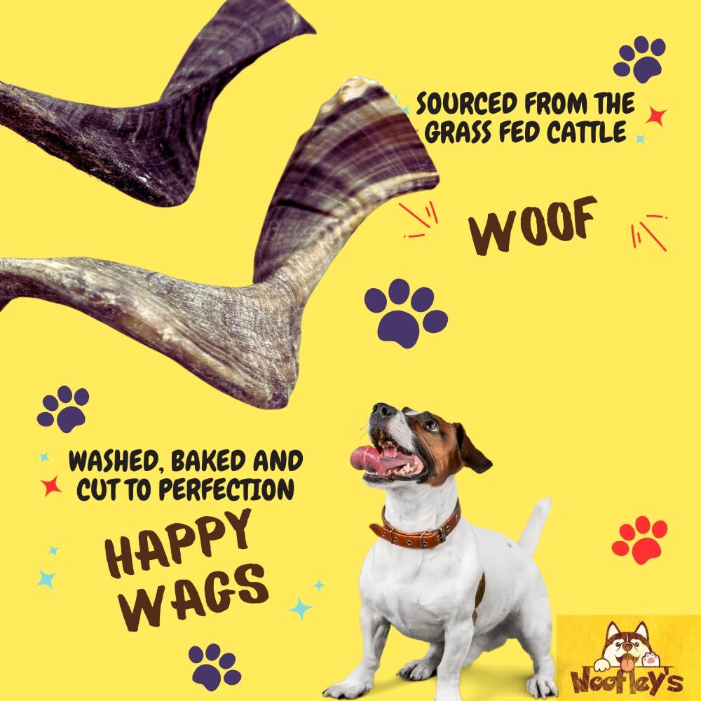 Woofley's Lamb Horn longue-duree, exemple de friandise durable.