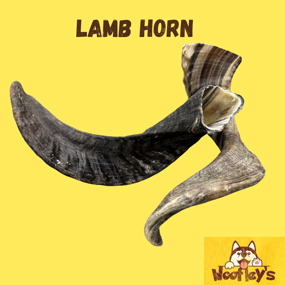 Woofley's Lamb Horn gros plan, texture naturelle et solide.
