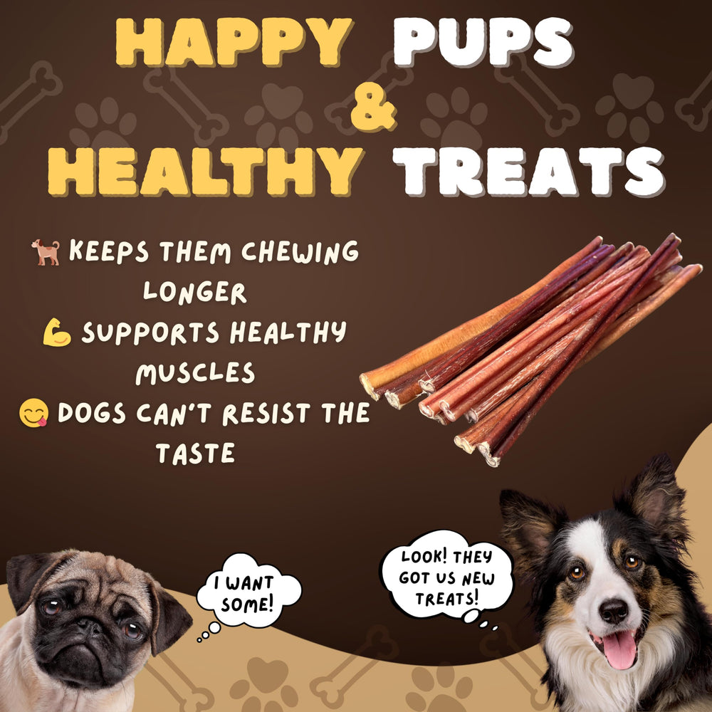Mordillement durable Woofley's, idéal pour chiens actifs.
