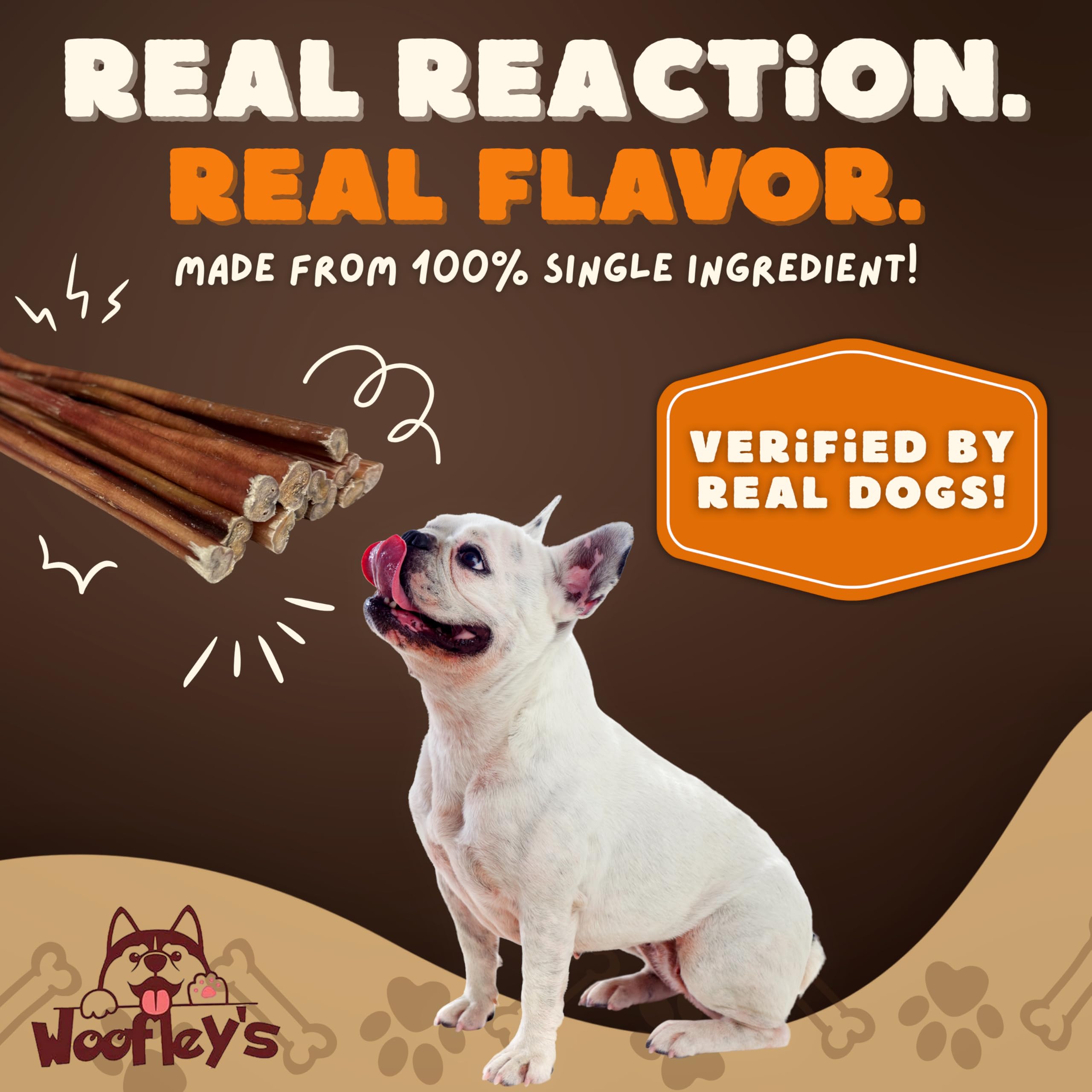 Woofley's activité quotidienne et mastication pour petit chien.