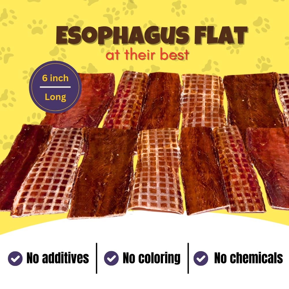 Woofley's Esophagus Jerky temps-mastication: longue session de mastication maîtrisée.