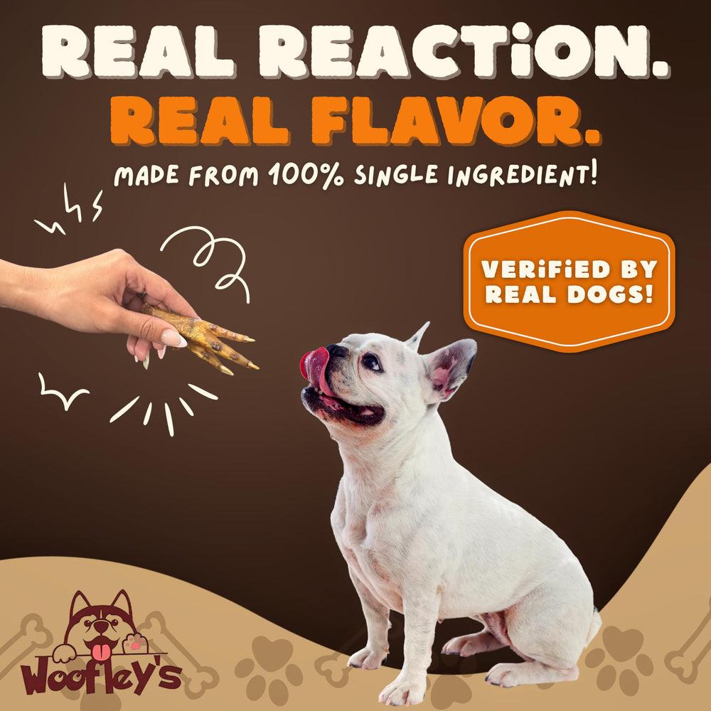 Woofley's Pattes de Poulet – utilisation sécurisée pour des sessions de mastication.
