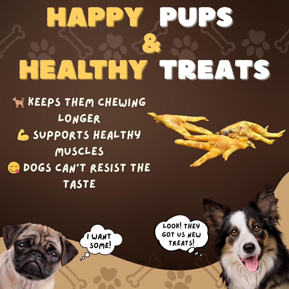Woofley's Pattes de Poulet, soutien potentiel à l'hygiène dentaire.