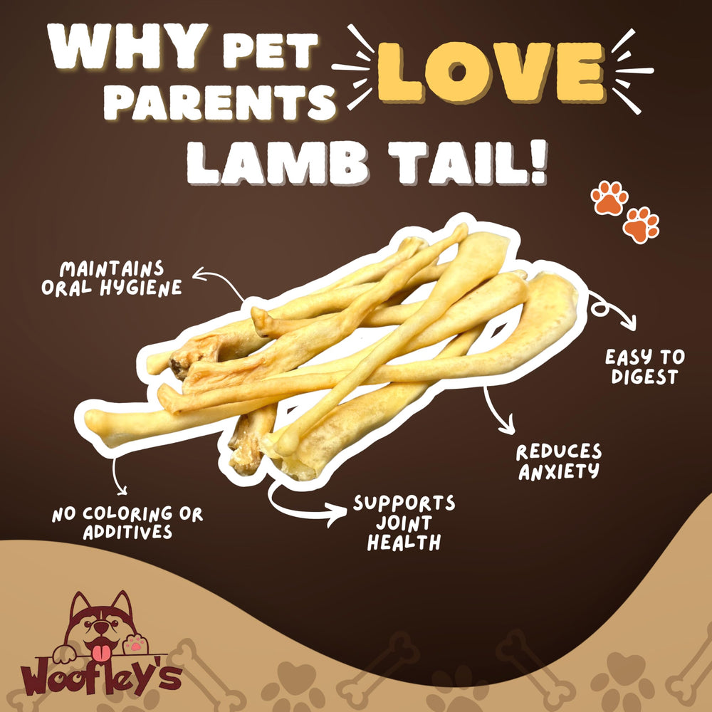 Woofley's Queue d'agneau – Améliore la santé dentaire, alternative naturelle.