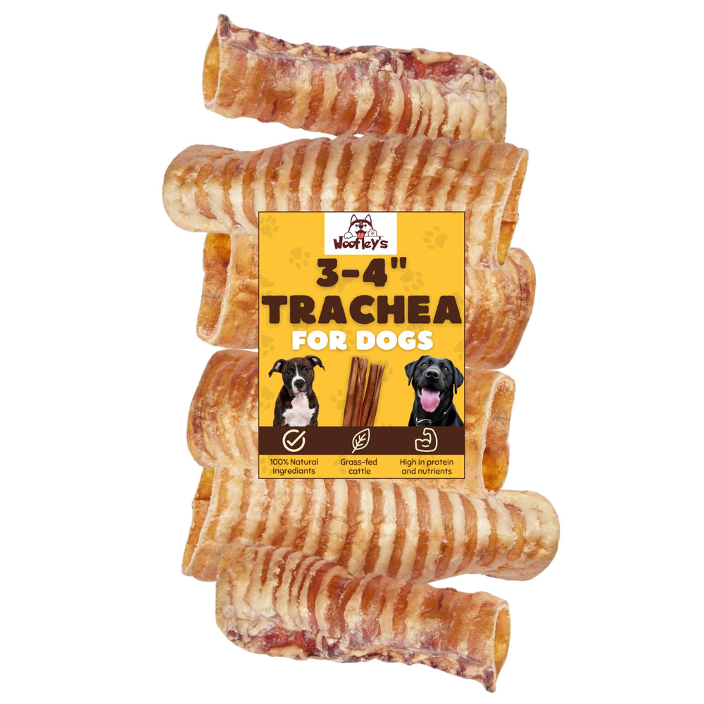 Woofley's trachée de bœuf 3-4 pouces, pack 50, récompense durable pour chien.