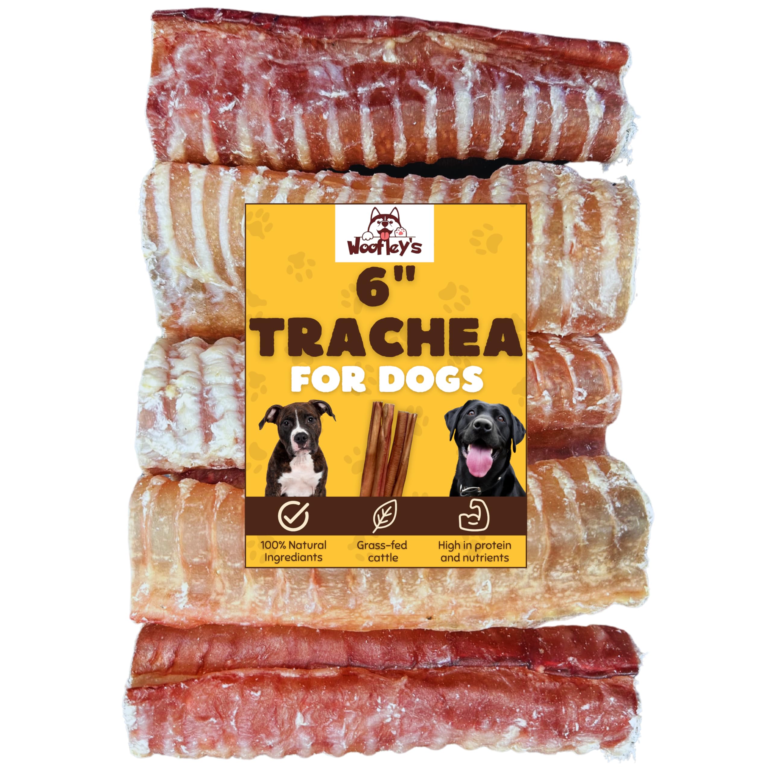Woofley's trachée de bœuf 6 pouces, récompense naturelle pour chien.