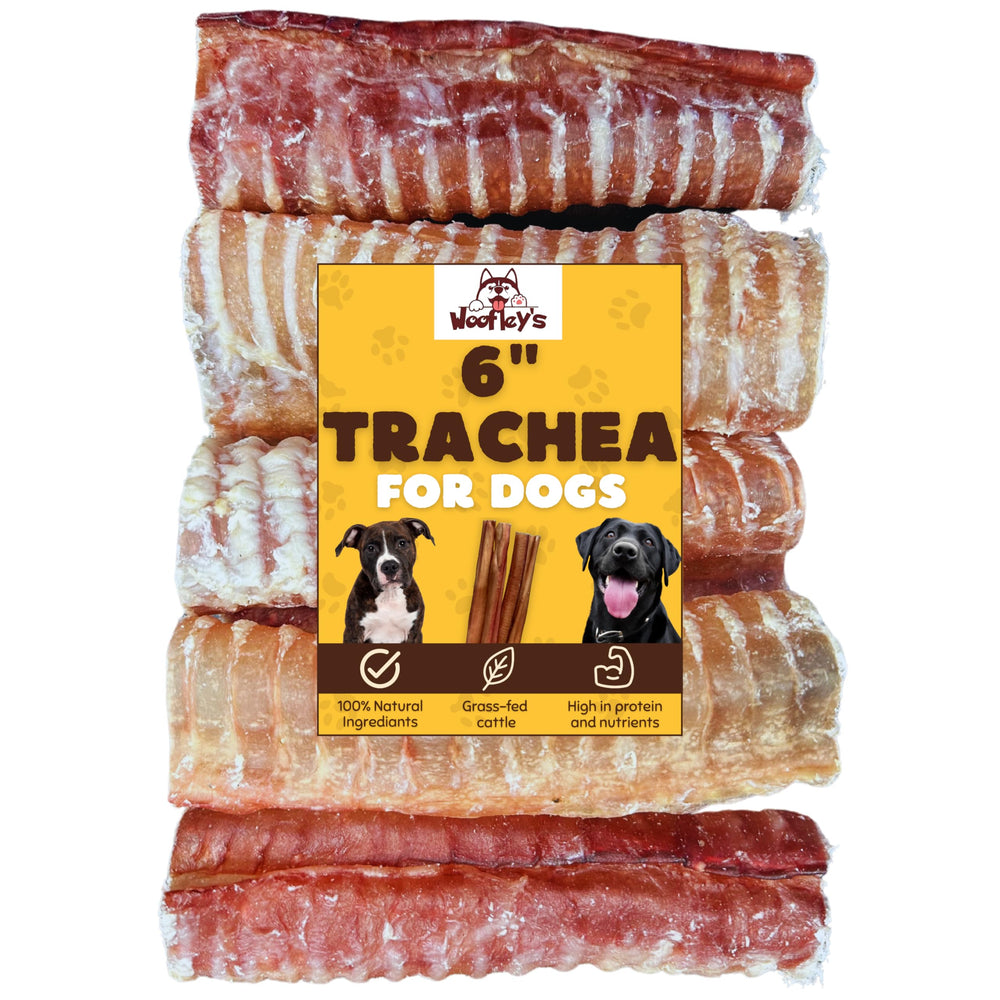 Woofley's trachée de bœuf 6 pouces, récompense naturelle pour chien.
