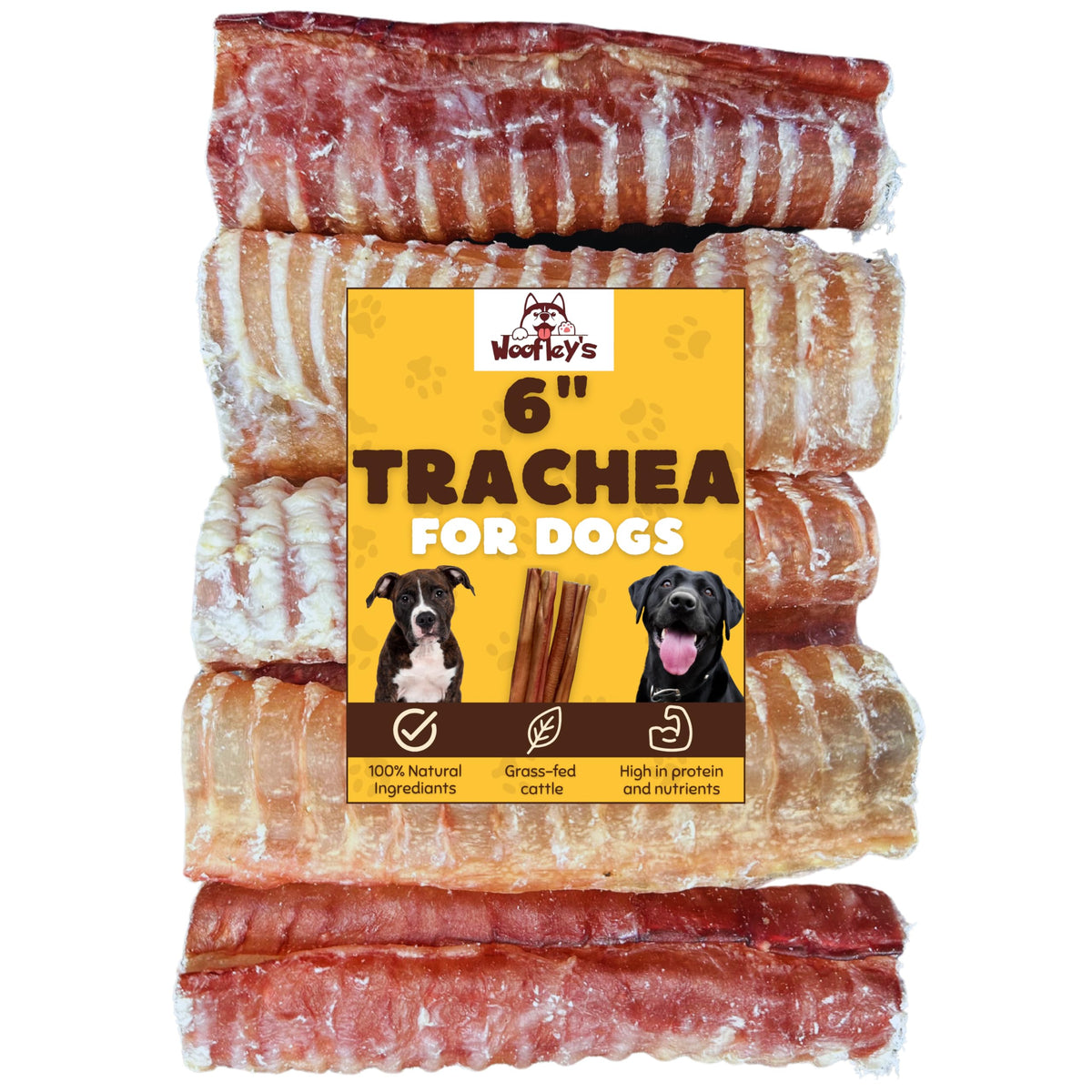 Woofley's trachée de bœuf 6 pouces, récompense naturelle pour chien.
