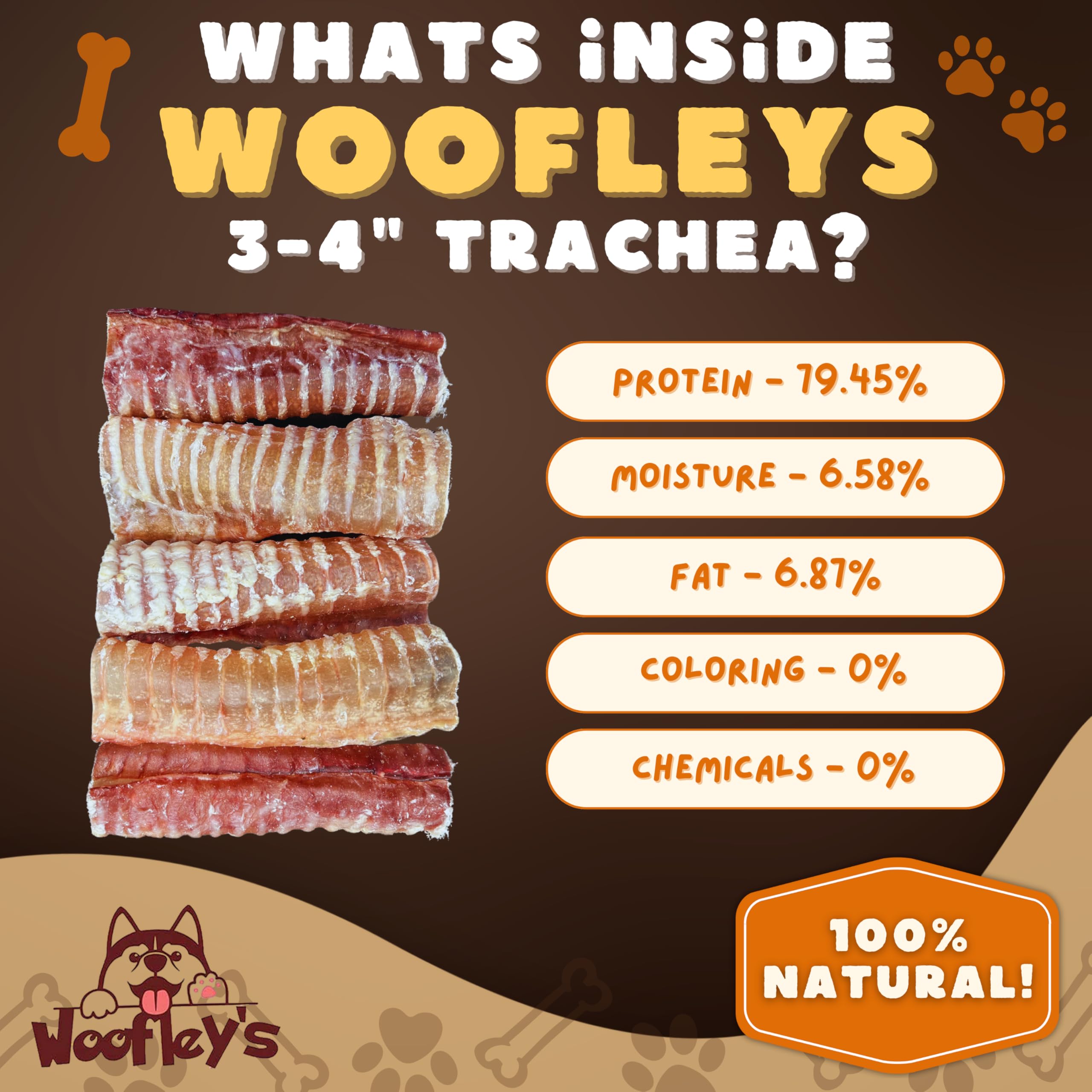 Woofley's trachée de bœuf chien en action, mastication sécurisée.