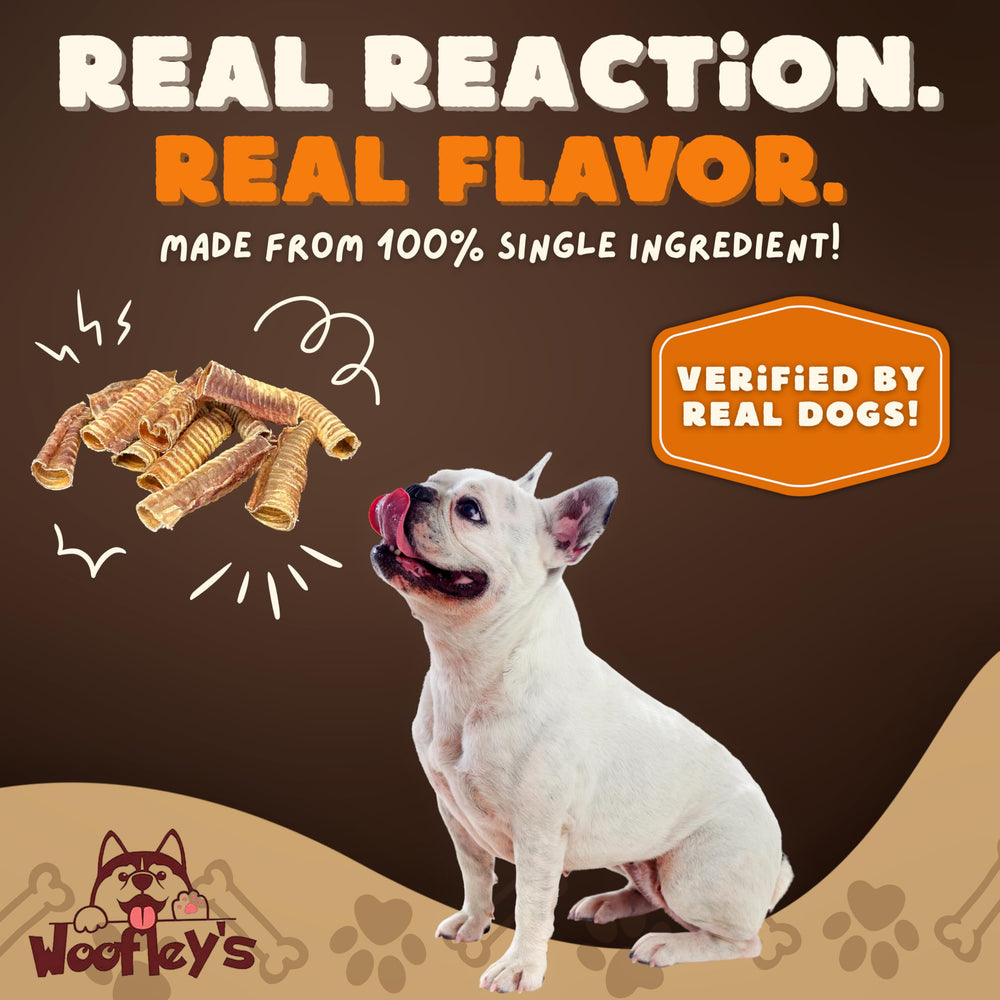 Woofley's Trachée de Boeuf, facile à mâcher, aide au nettoyage dentaire pendant le jeu.