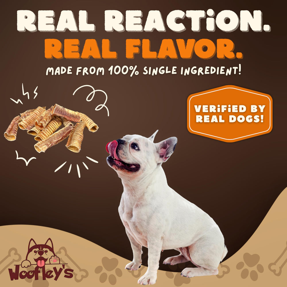 Woofley's trachée de bœuf 100% naturelle, sans additifs ni produits chimiques.