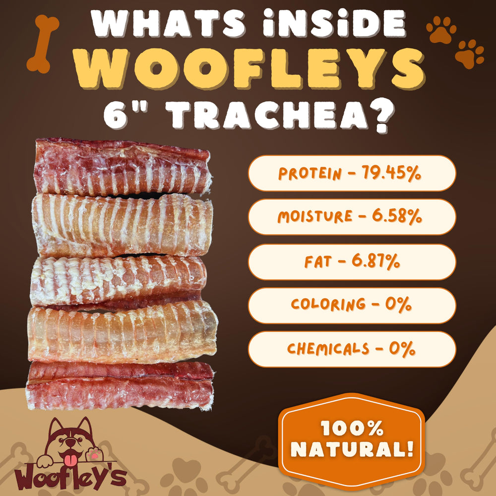 Woofley's Trachée de Boeuf, riche en protéines pour soutenir l'énergie quotidienne.