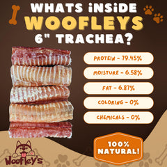 Woofley's Trachée de Boeuf, riche en protéines pour soutenir l'énergie quotidienne.