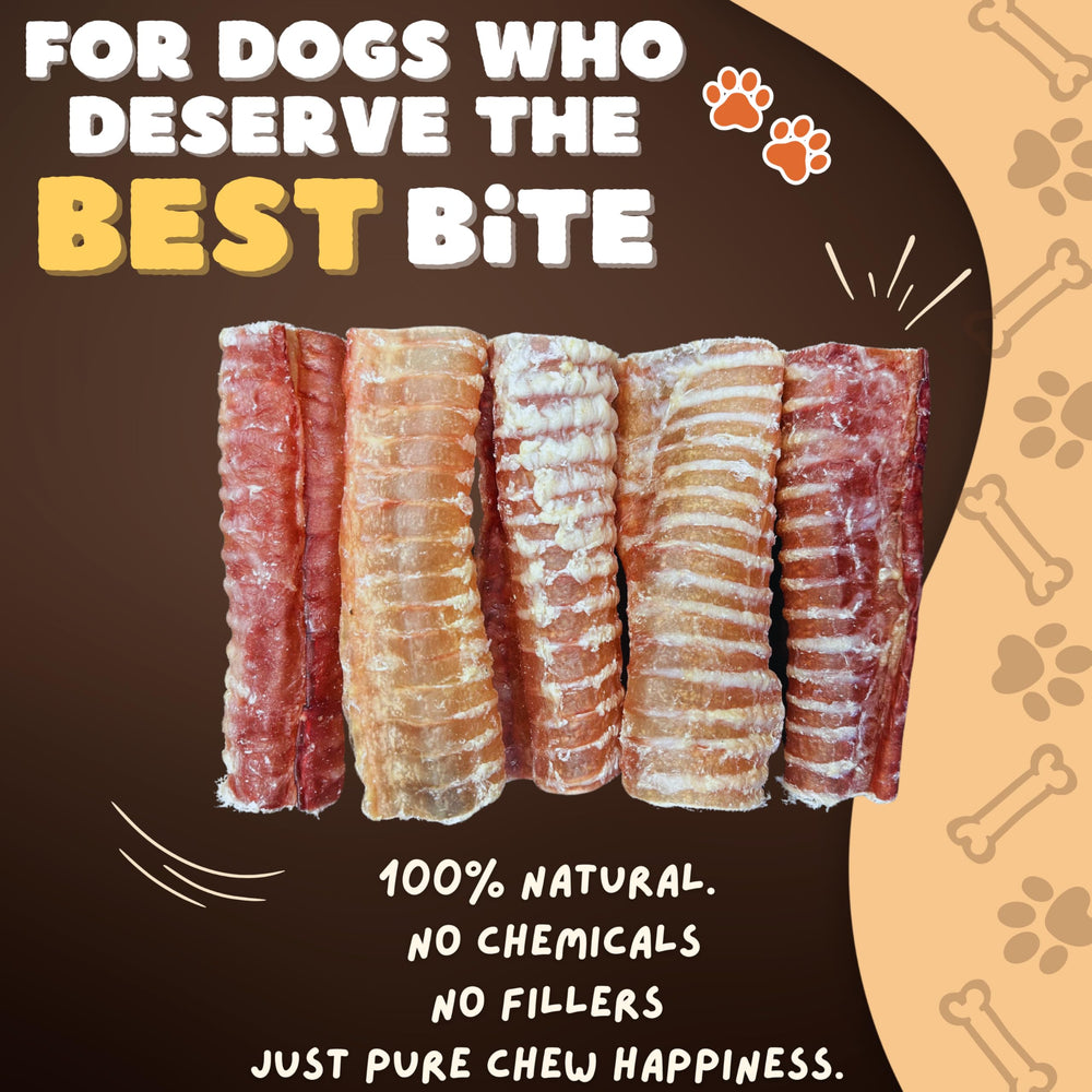 Woofley's Trachée de Boeuf saveur naturelle, idéale comme récompense sans additifs.