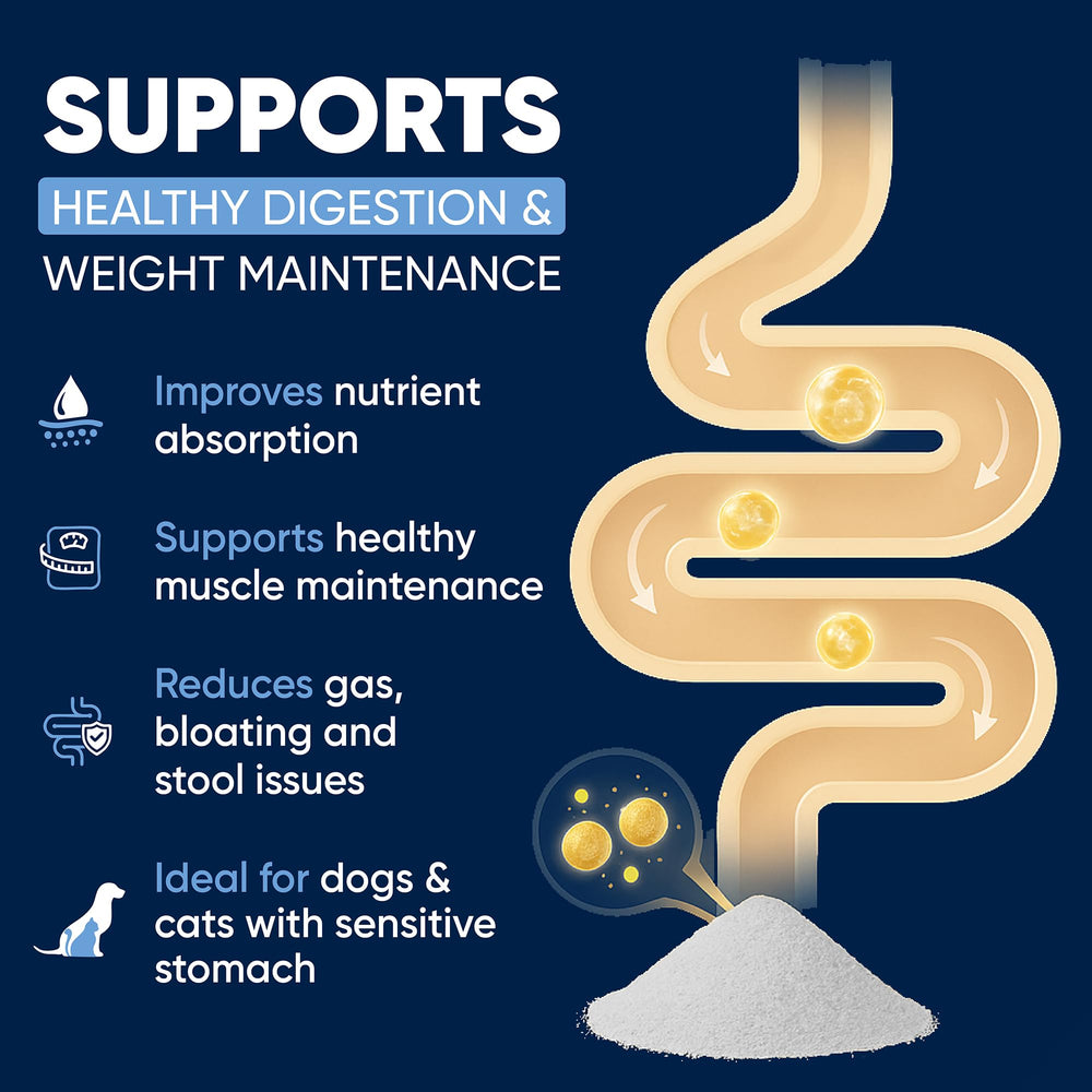 Woofy Pancréatine: formulation 10x enzymes soutenant la digestion des lipides et protéines.