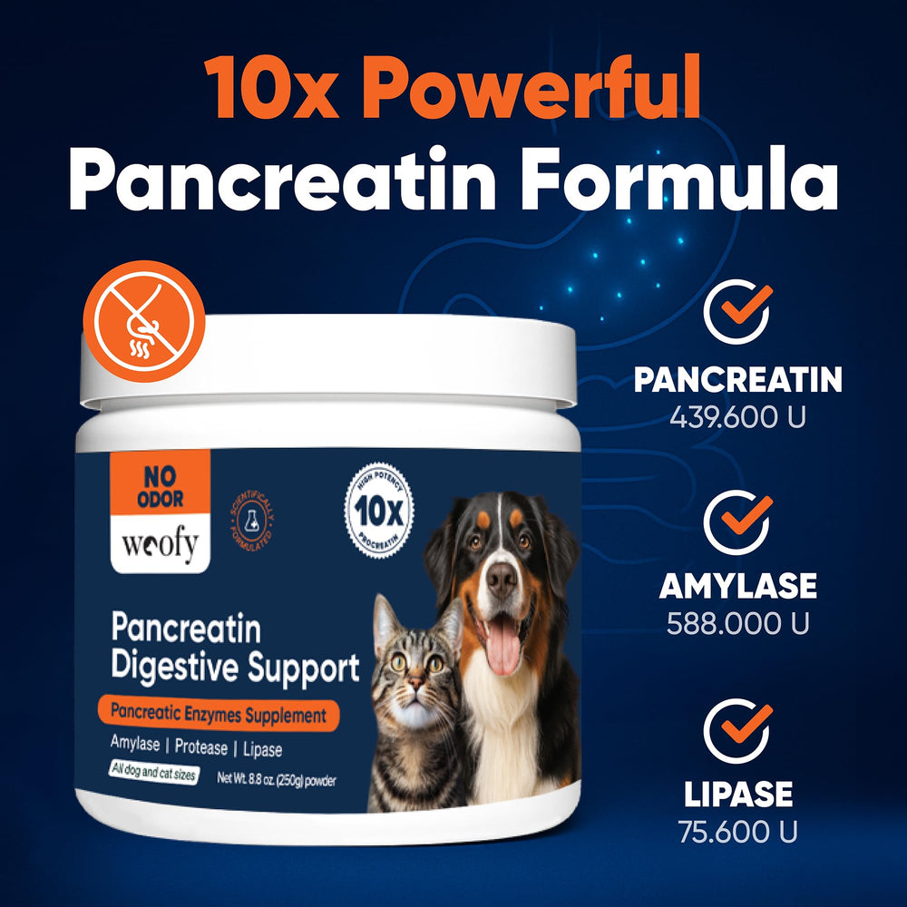 Woofy Pancréatine: poudre sans odeur facilitant l’incorporation dans l’alimentation.