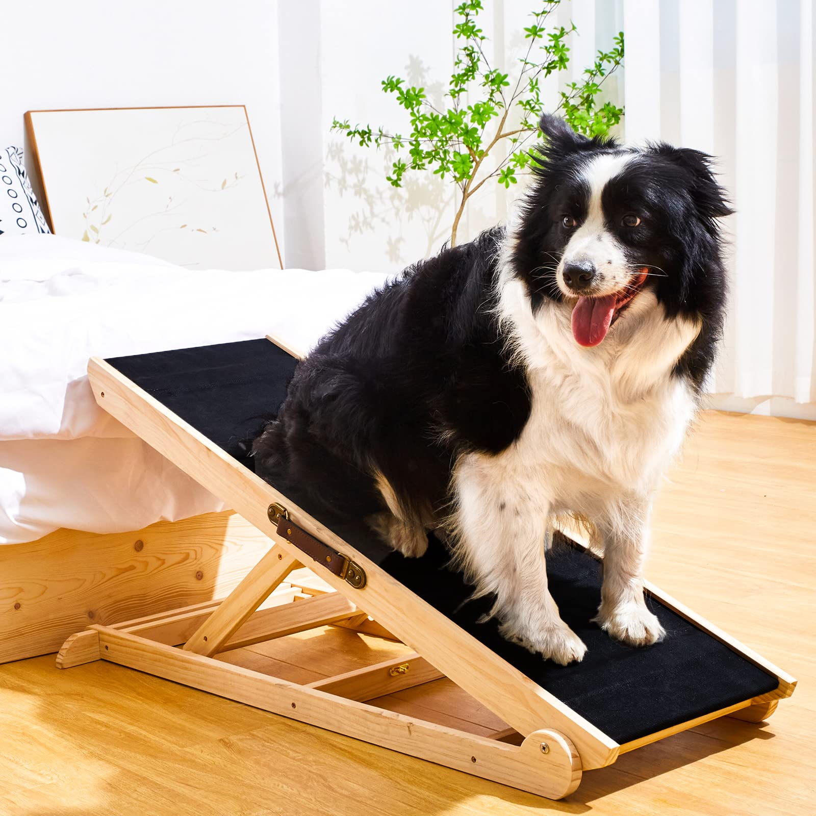 Woohoo Dog Ramp avec surface caoutchouc antidérapante pour une adhérence accrue.
