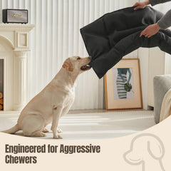 WooPetty-tapis-chenil-impermeable: protège l’intérieur contre les petits accidents.