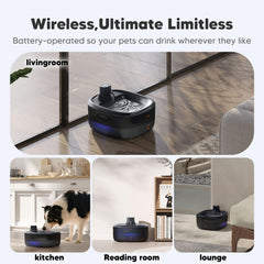 Fontaine pour animaux WOPET, capacité 6L pour moins de remplissages.