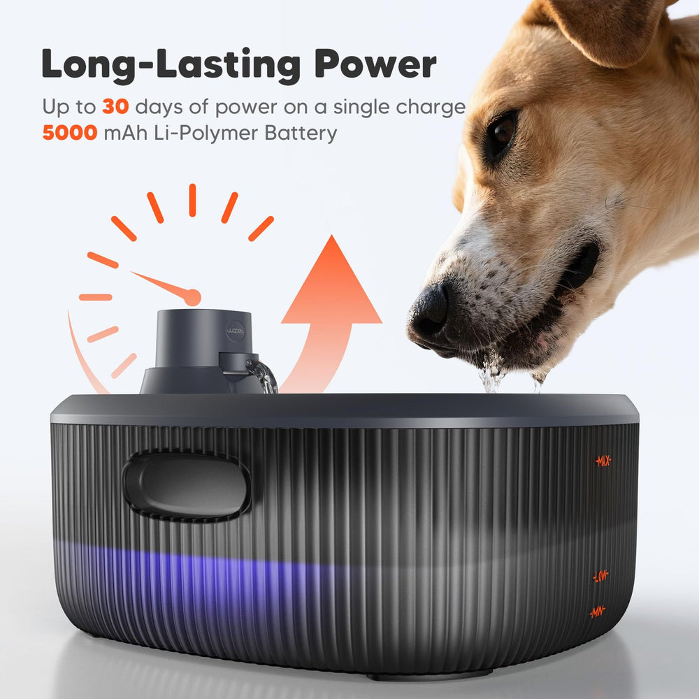 Pompe ultra silencieuse WOPET pour une expérience sans bruit.