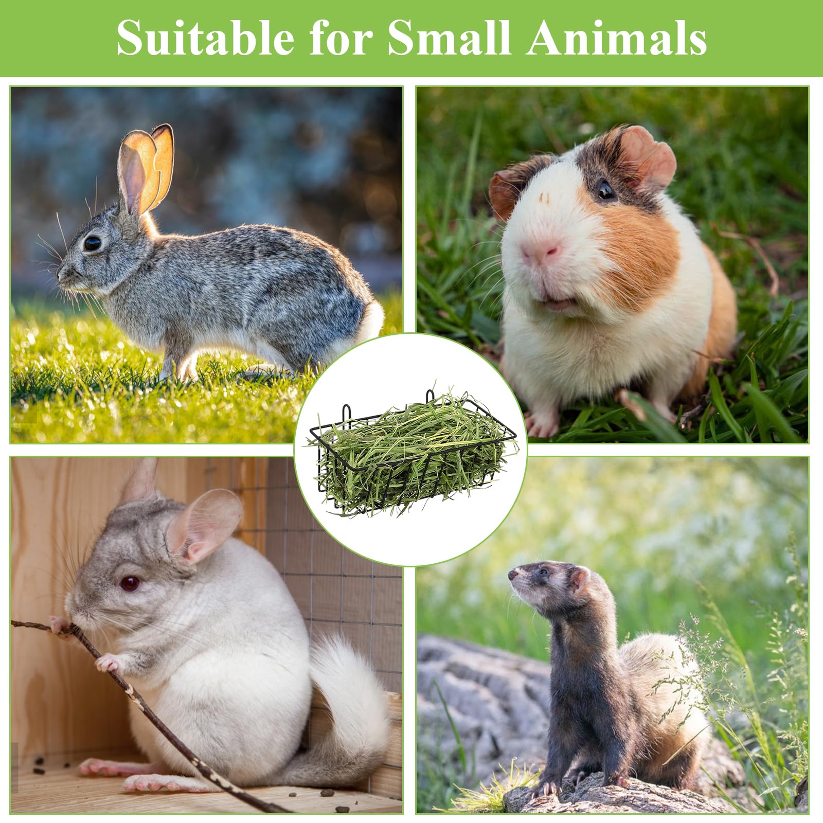 Petits animaux compatibles WOPPLXY, lapins et cobayes.
