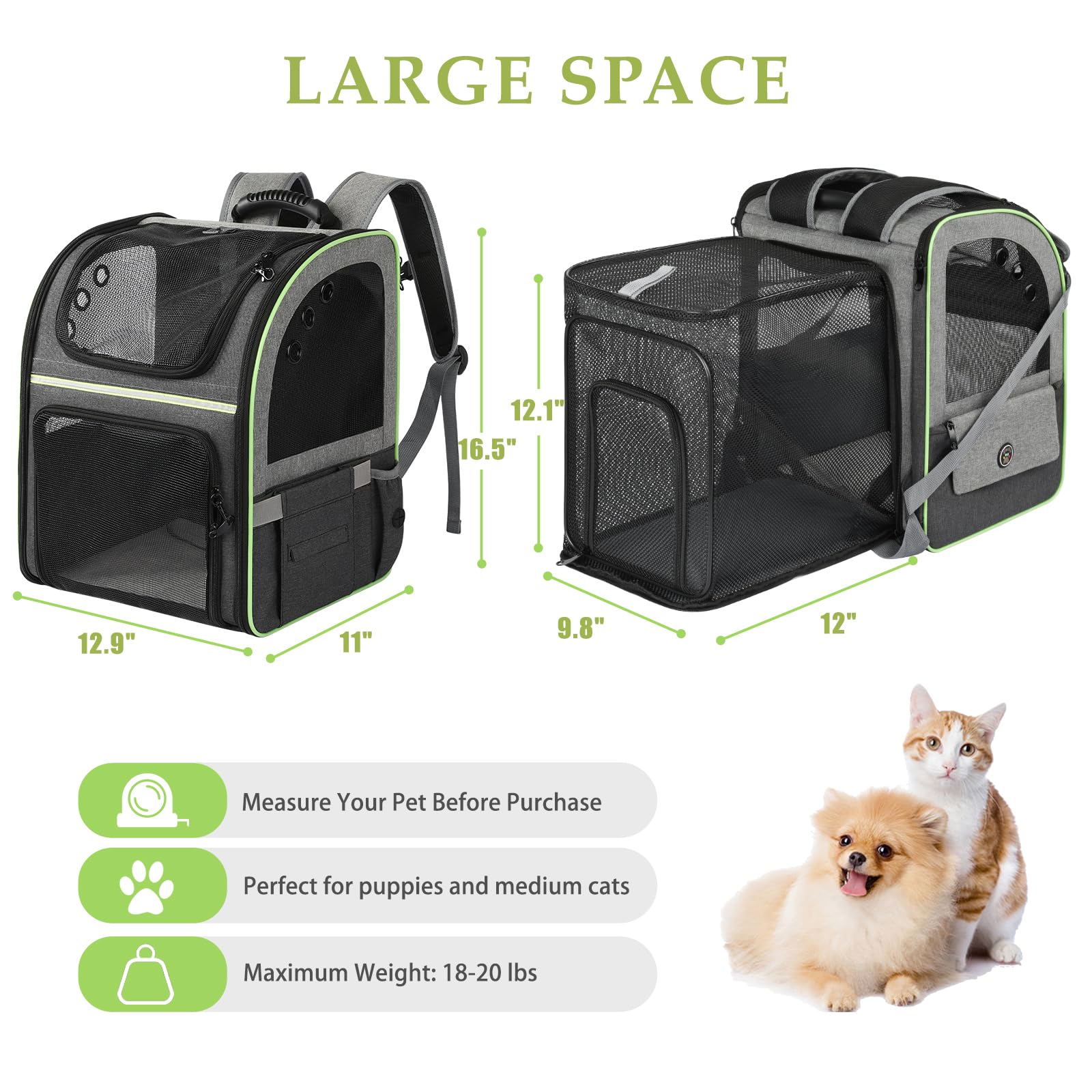 worfty-sac-dos-chat-agrandi-evolutif offre plus d'espace après l'exercice