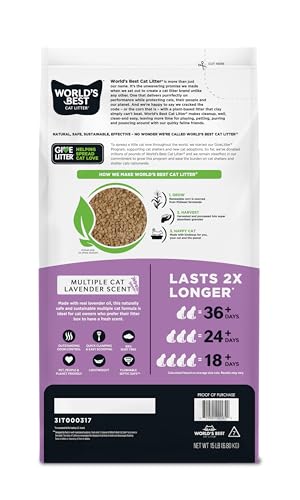 World's Best Cat Litter – absorption maïs pour agglomération rapide.