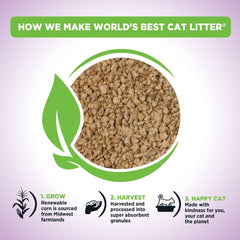 World's Best Cat Litter – agglomération rapide pour nettoyage facilité.