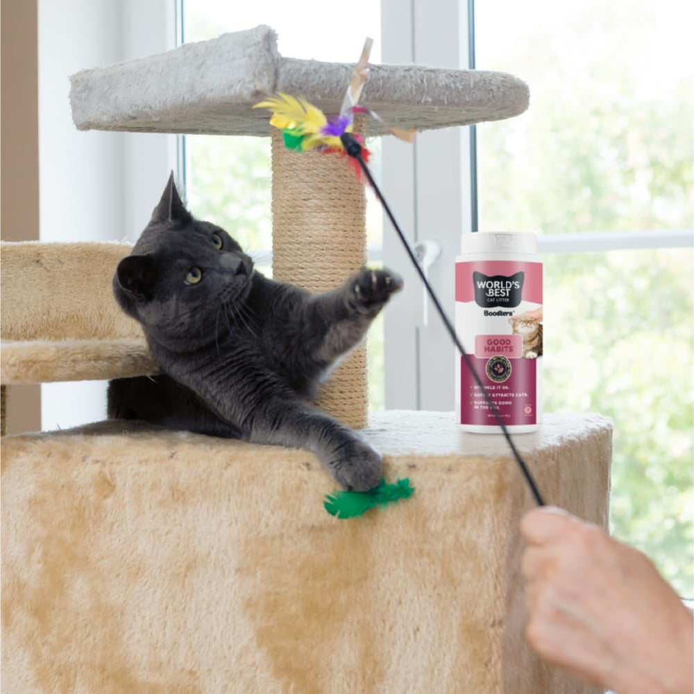 World’s Best Cat Litter Boosters Good Habits — mesure d’une portion simple à saupoudrer