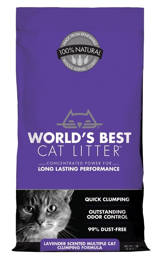 World's Best Cat Litter – grumeaux rapides pour un nettoyage simple