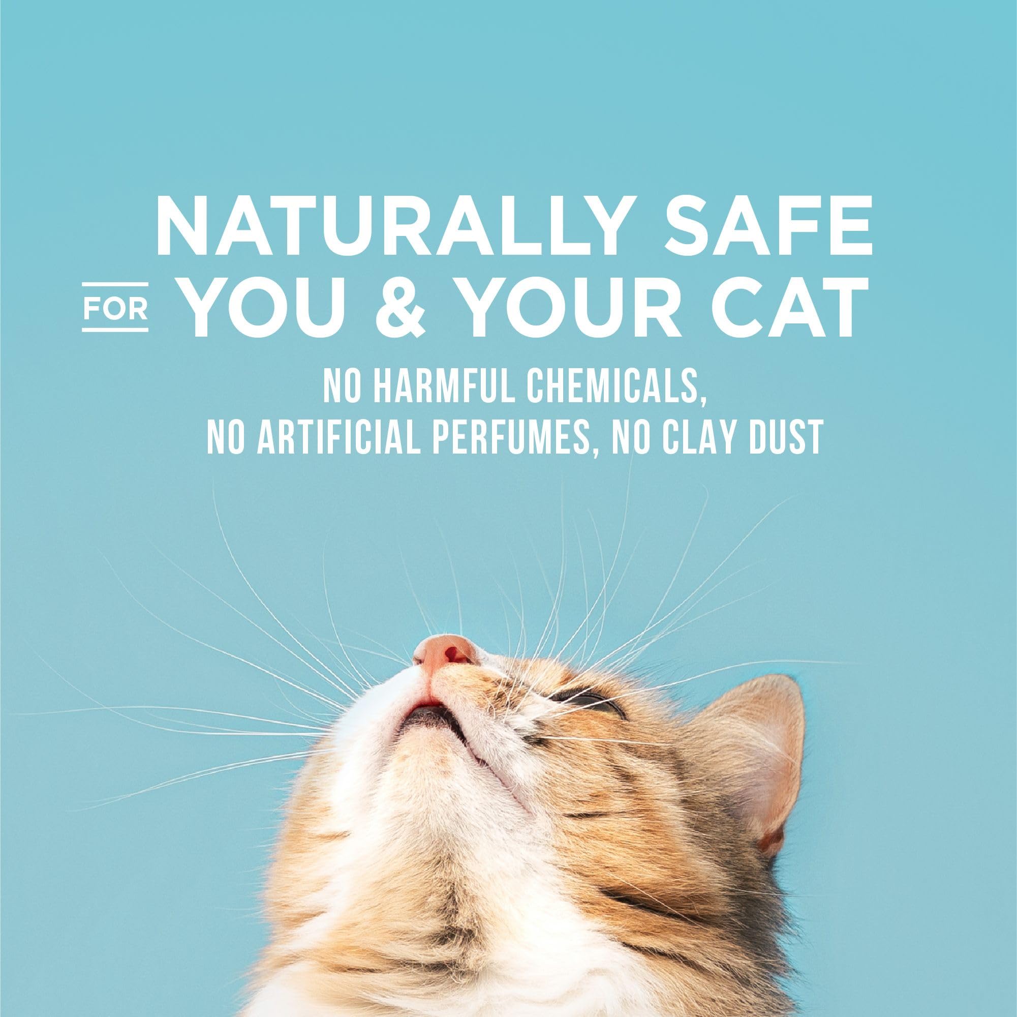 World's Best Cat Litter Poop Fighter – sans poussière, moins de traces autour de la litière.