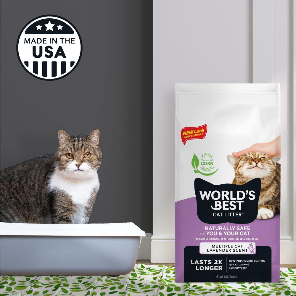 World's Best Cat Litter – poussière réduite à 99% pour respiration plus facile.