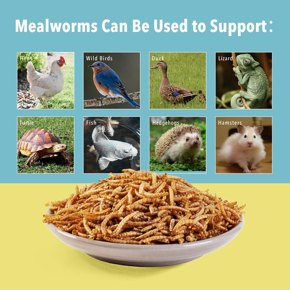 WormsFarm vers de farine séchés — snack pratique pour attirer les oiseaux sauvages et nourrir les poules.