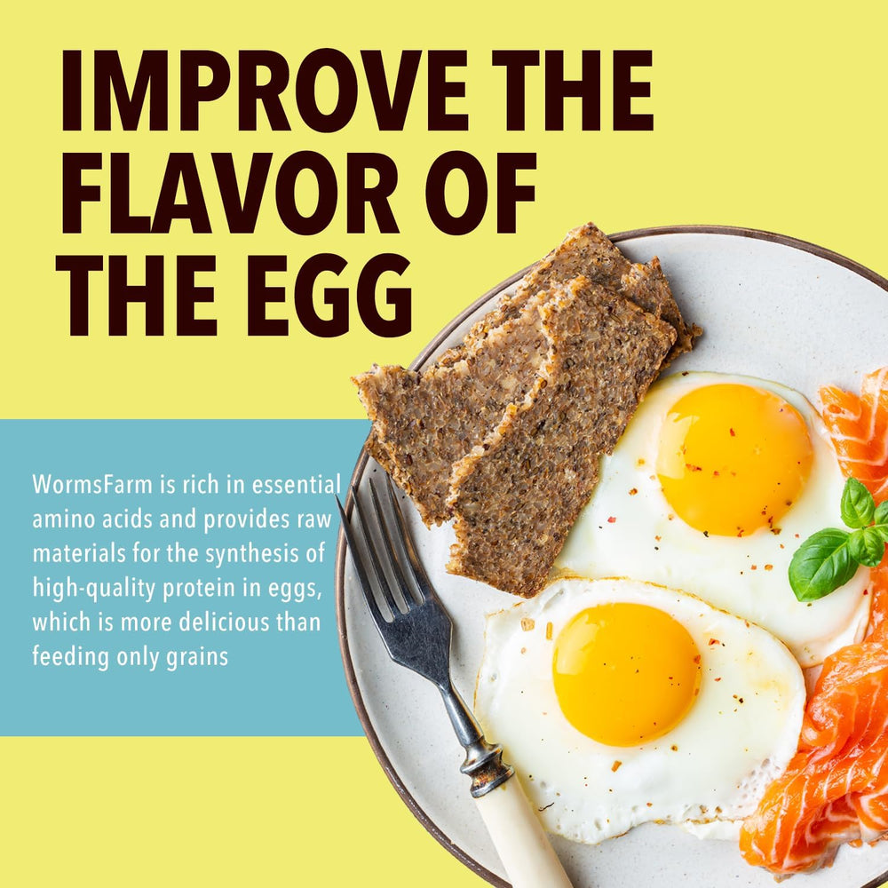 WormsFarm mealworms séchés pour reptiles — snack pratique et nutritif.