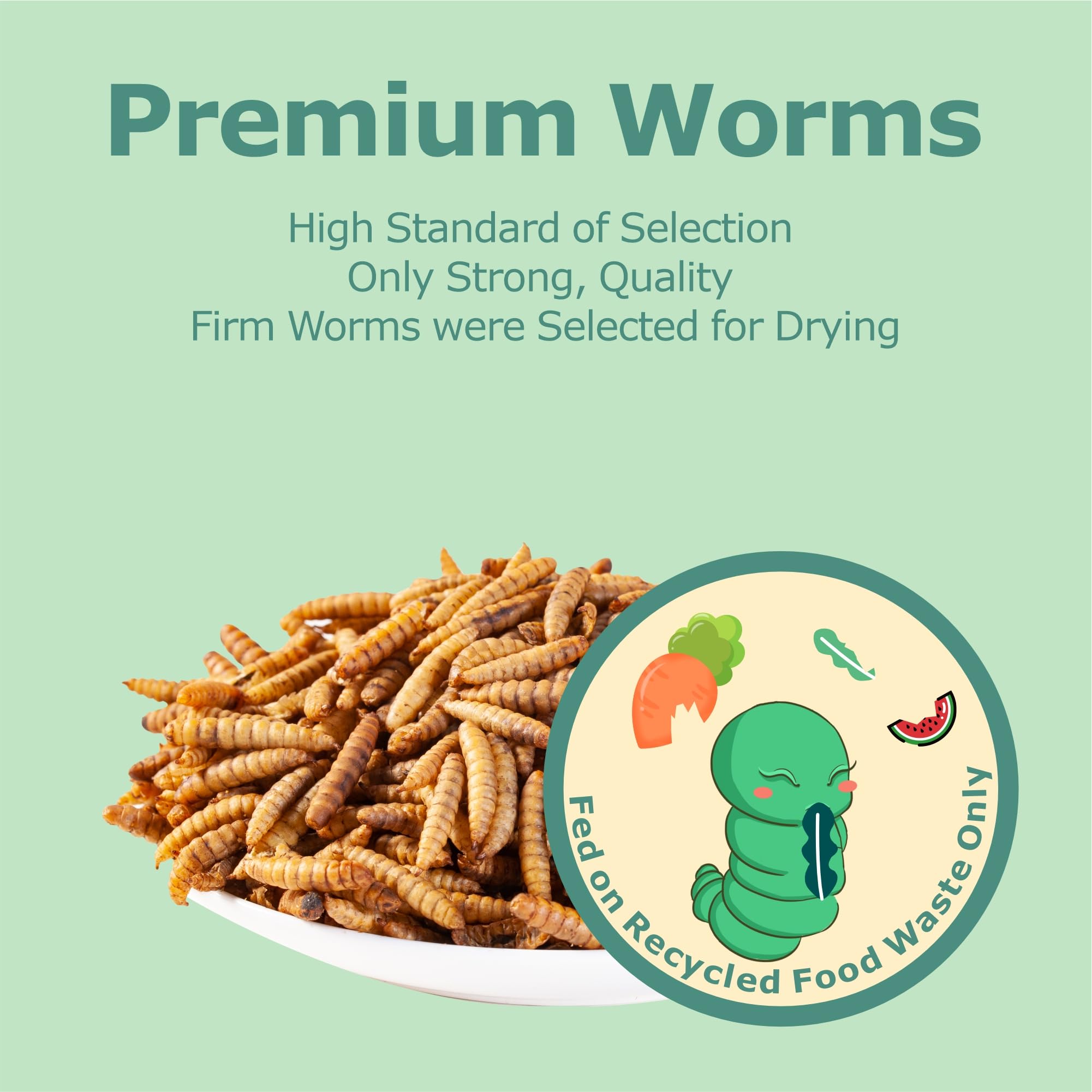 WORMSKING: solution durable pour nourrir et divertir les oiseaux