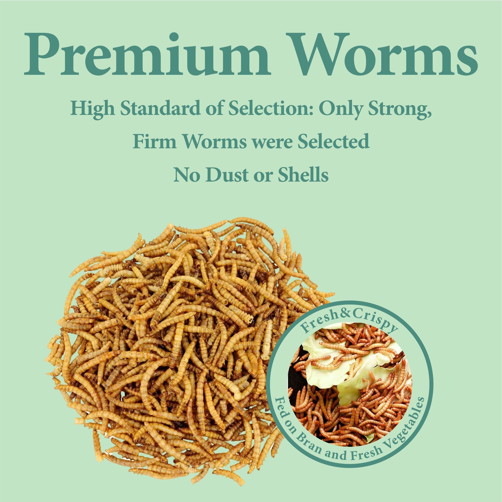 WORMSKING pratique pour nourrir oiseaux et reptiles, sans effort.