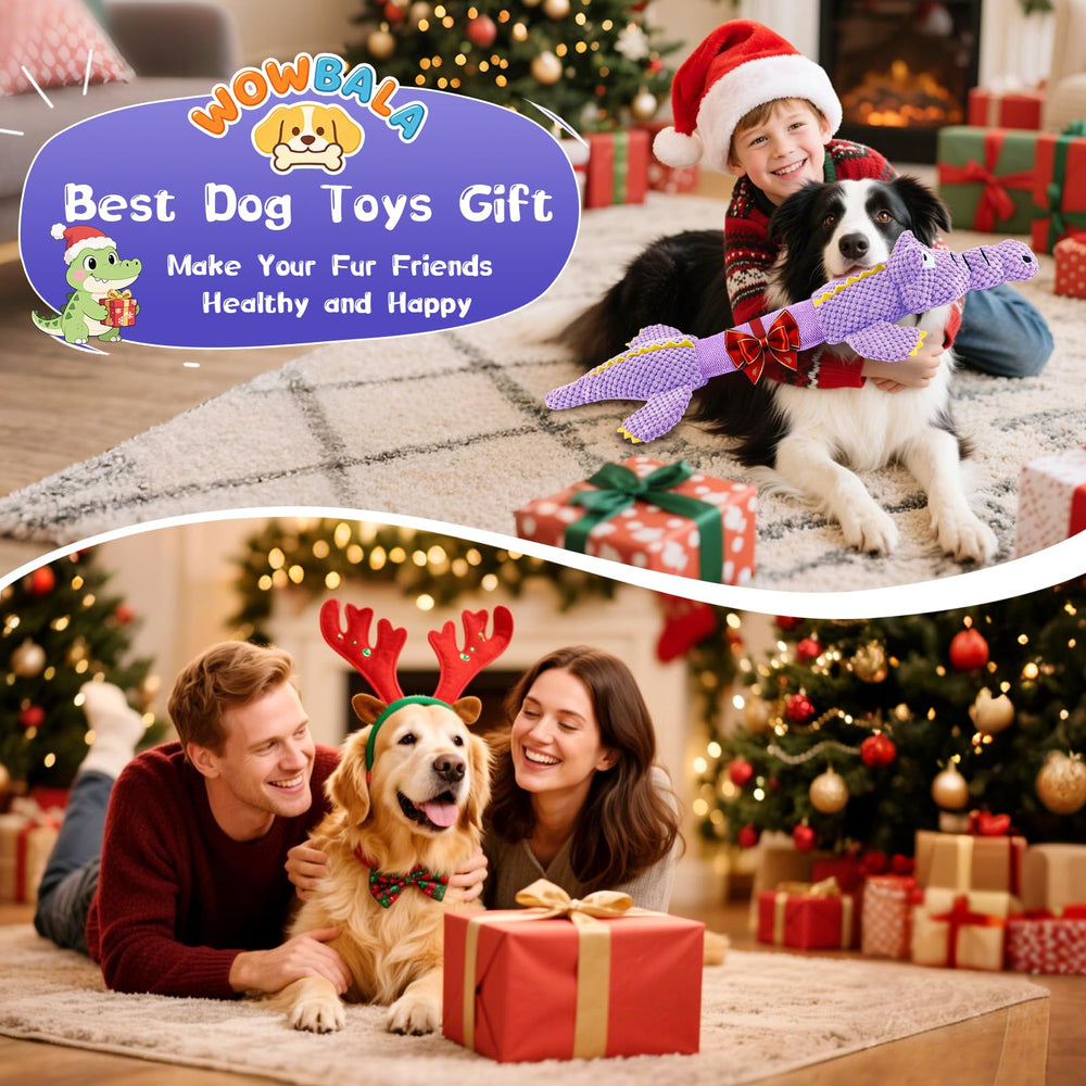 WOWBALA cadeau parfait pour chiens et propriétaires.
