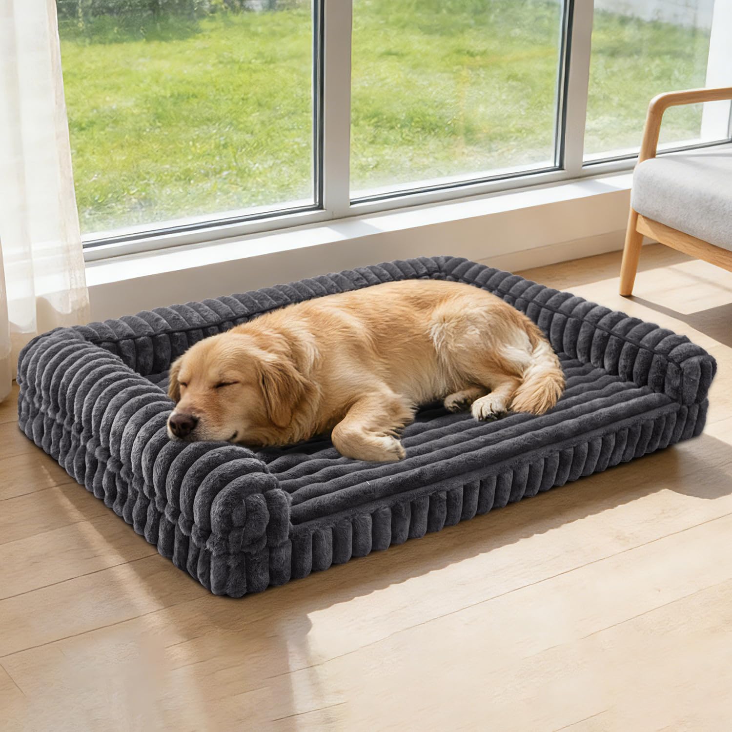Wowohpet taille moyenne pour chien, idéal pour chiens de taille moyenne.