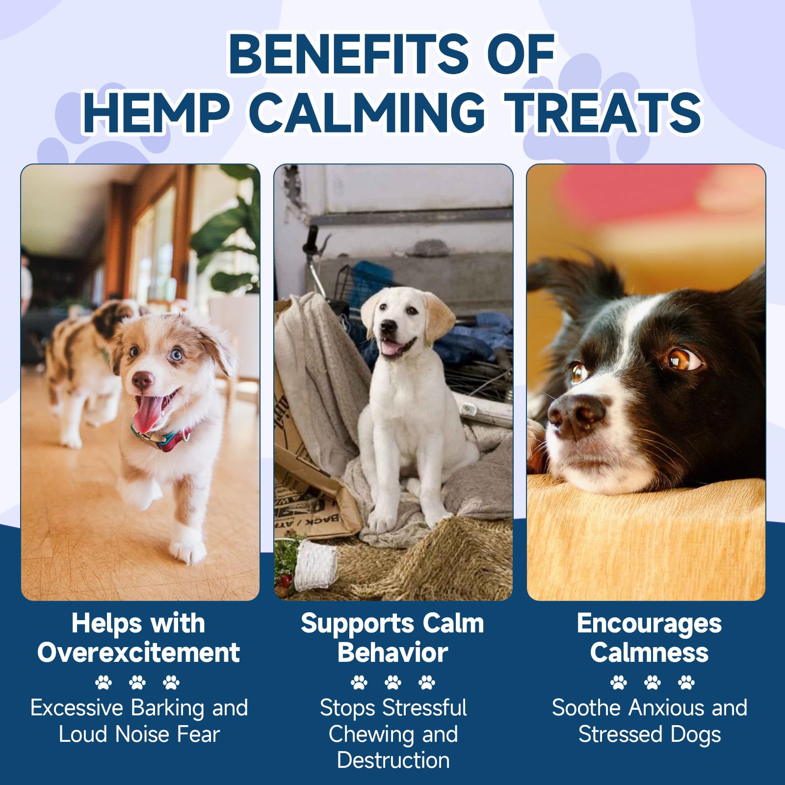 Utilisation quotidienne avec Woyamay pour soutenir le calme durant les trajets.