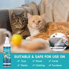 Utilisation extérieure: jardin protégé contre les visites des chats avec Woyamay.